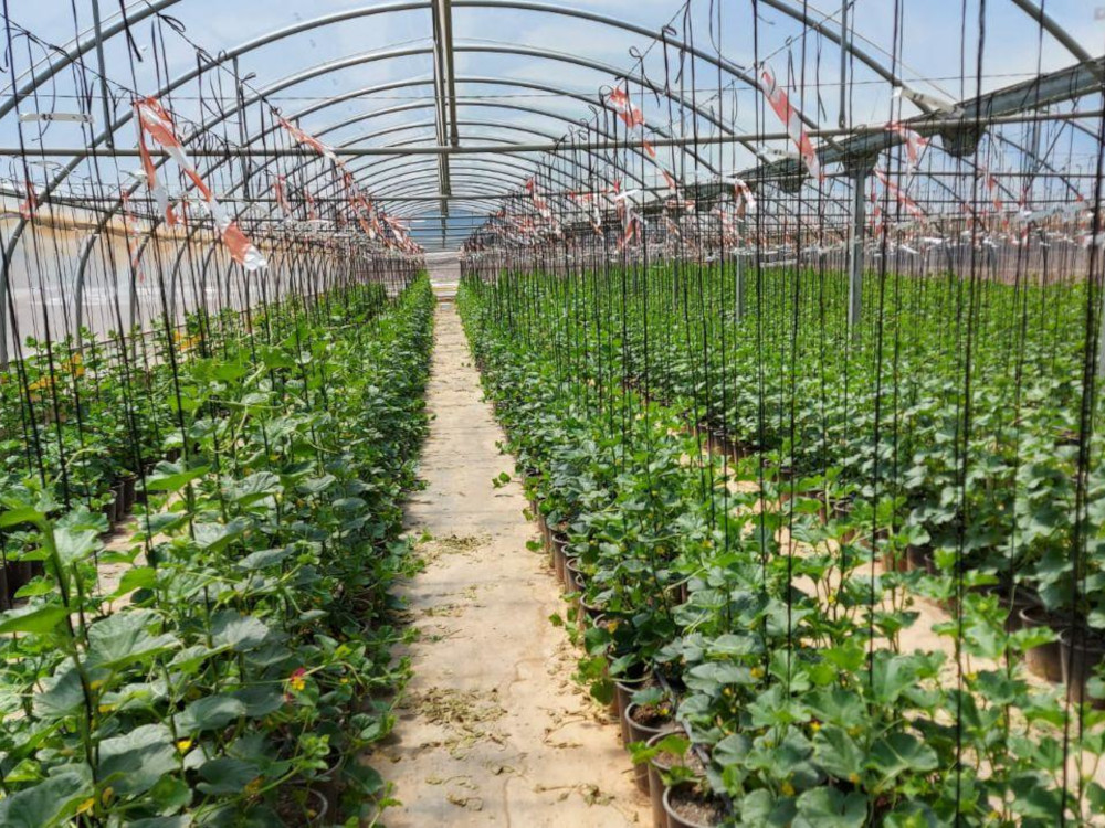 Control y trazabilidad